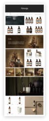 15 Best Amazon Storefront Examples - IRON Creative